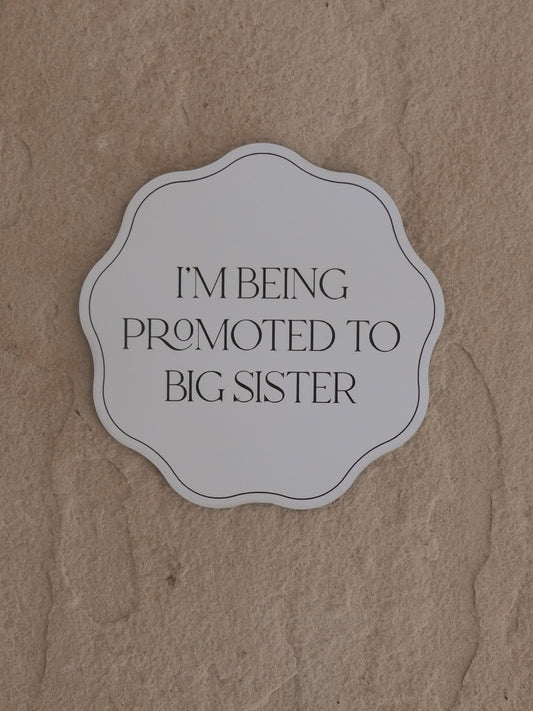 I'm/We're Being Promoted "Modern" Plaque